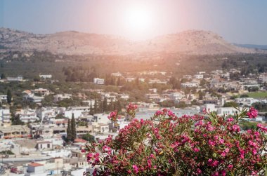 Rodos, Yunanistan'da eski şehir genel bakış tepenin üstünde güzel bir çiçek çalı