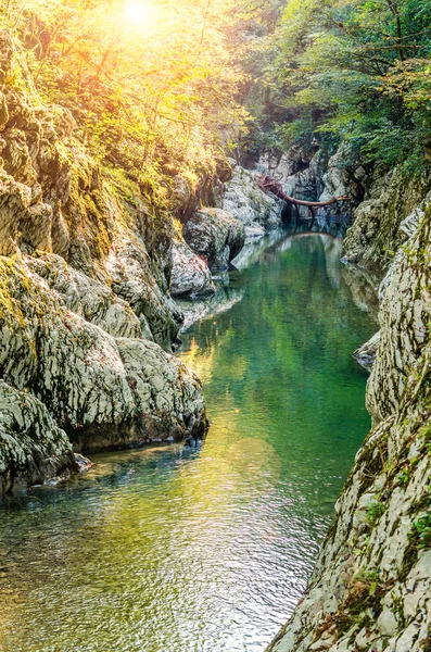 Soçi, Rusya'daki Boxwood korusu. Şeytan Kapısı kanyonu. Güzel bir Rus dağ manzarası.
