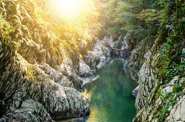  Soçi, Rusya'daki Boxwood korusu. Şeytan Kapısı kanyonu. Güzel bir Rus dağ manzarası.