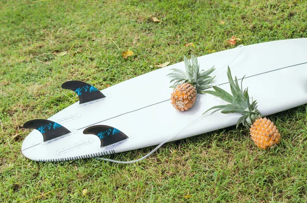 Surfboard Zeleném Trávníku Užijte Surfování Tropickém Ráji — Stock fotografie