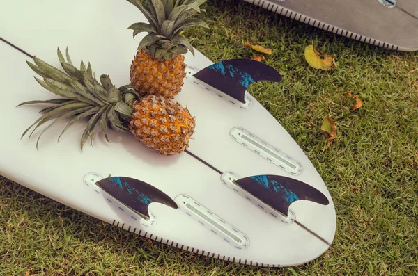 Surfboard Zeleném Trávníku Užijte Surfování Tropickém Ráji — Stock fotografie