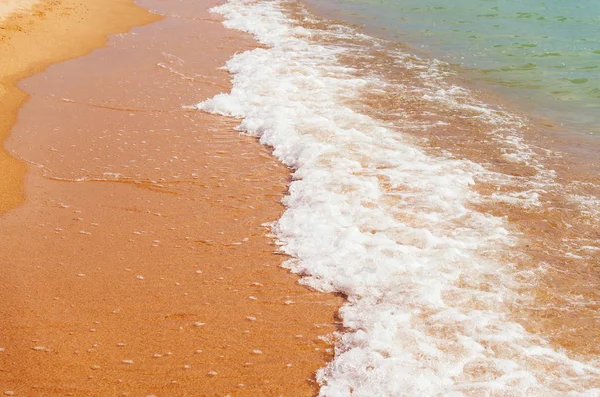 Wunderschöner Meereskamm Strandleben — Stockfoto