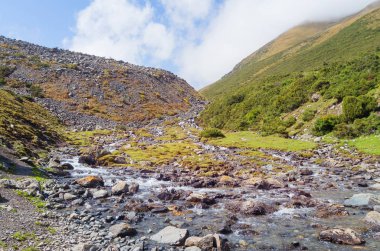 Dağ nehrinin güzel manzarası
