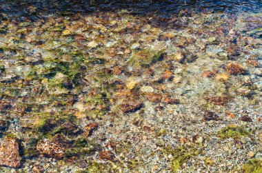  güzel dağ nehri. Taşlar ve olurlar ile temiz ve berrak su.