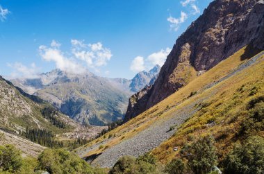 Kırgızistan 'da güzel bir dağ manzarası