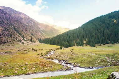 Güzel bir dağ nehri. Dağlık arazinin huzurunun tadını çıkar..