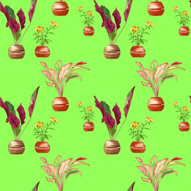 Yuvarlak kil çömleklerde ev bitkileri yeşil arka planda pürüzsüz bir desen içinde.