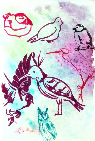 Çizim Defterindeki Kuşların Hoş Çizimleri Fırça Kalemleri Suluboya Resimlerle Çizilmiş — Stok fotoğraf