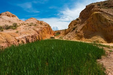 Yeşil çim masal Kanyon Güney: Issyk-Kul kıyı Gölü, Kırgızistan