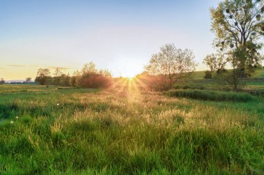 Bir çayır tarlasında huzurlu bir akşam manzarası