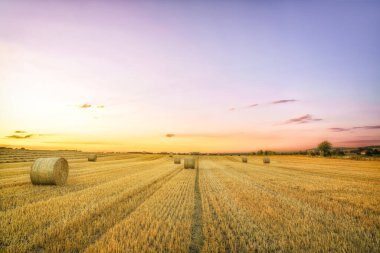 Hasattan sonra bir yaz saman tarlası ve sıcak bir yaz akşamı ve gün batımında büyük saman balyaları.