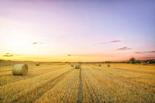 Hasattan sonra bir yaz saman tarlası ve sıcak bir yaz akşamı ve gün batımında büyük saman balyaları.