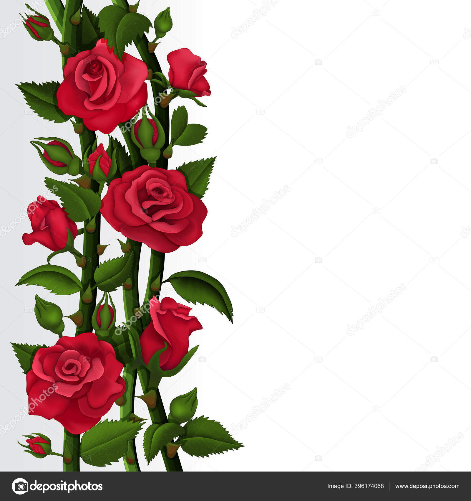 Rosa solitaria foto de archivo. Imagen de gotas, travieso - 1533642, image size:1600x1700