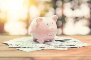 Piggy Bank, kamu parkındaki ahşap masanın üzerine para banknotu dolar. Finansal tasarruf. Eski model renk tonu.