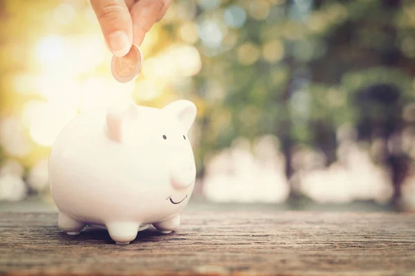 Kadın elleri, halka açık parktaki ahşap masaya madeni para koyarak madeni paraları tutuyor. Finansal kavram tasarrufu. Eski moda renk tonu.