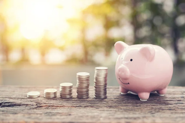 Kamu parkındaki ahşap masada büyüyen para yığını bankalı pembe domuzcuk. Finansal tasarruf kavramı. Eski moda renk tonu.