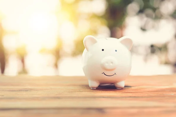 White Piggy Bank, parktaki ahşap masanın üzerinde. Finansal tasarruf. Eski moda renk tonu..