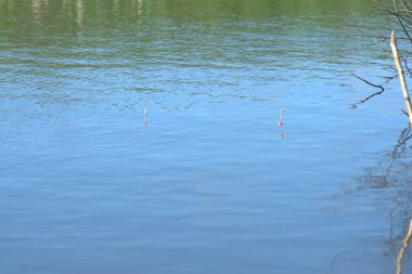 - Rusya. Fotoğraflar 8 Haziran 2020 'de Yeshka Nehri' nin kıyısında çekildi. Güzel sabah manzaraları.