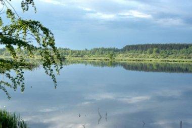 - Rusya. Fotoğraflar 8 Haziran 2020 'de Yeshka Nehri' nin kıyısında çekildi. Güzel sabah manzaraları.