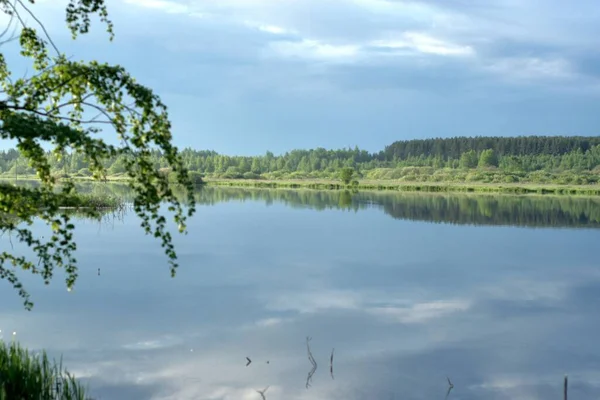 Rusia Fotos Tomadas Orilla Del Río Yeshka Junio 2020 Hermosos —  Fotos de Stock