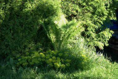 - Rusya. Sabahın erken saatlerinde Yaroslavl bölgesinde 