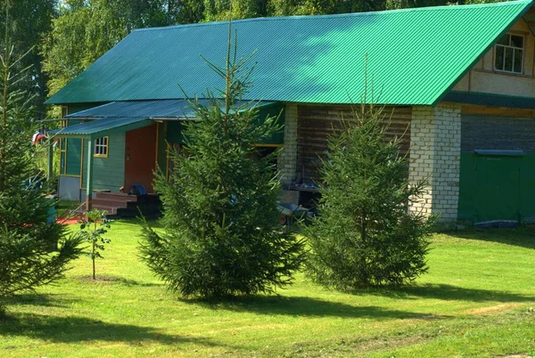 Поездка Лес Возле Села Заболотье Ярославской Области Август — стоковое фото