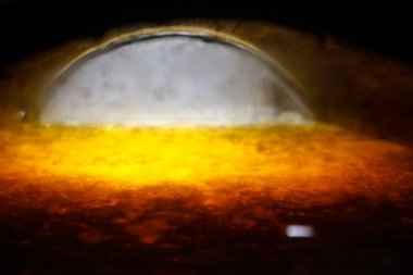 Şeffaf varil, şarap yaratılması iç görünümü ile