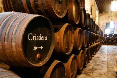 Jerez-Xrs-Sherry küçük şarap imalathaneleri