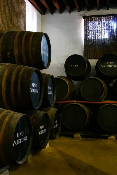 Linha Barris Pequenas Vinícolas Jerez Xrs Sherry — Fotografia de Stock