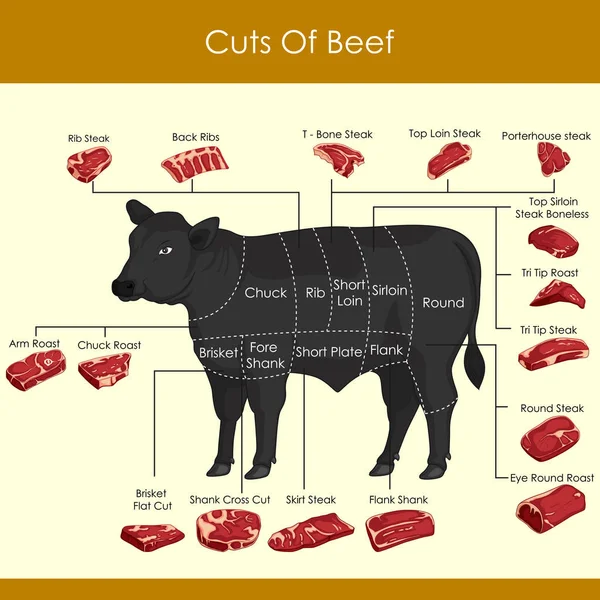 Illustrazione vettoriale di diversi tagli di carne bovina — Vettoriale Stock