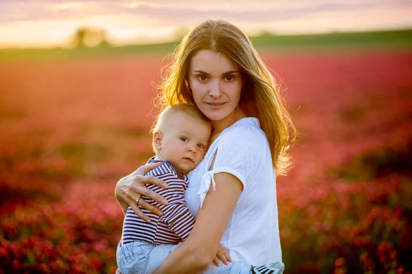 Young Mother Holding Her Todller Son Crimson Clover Field Family — Stock Photo, Image