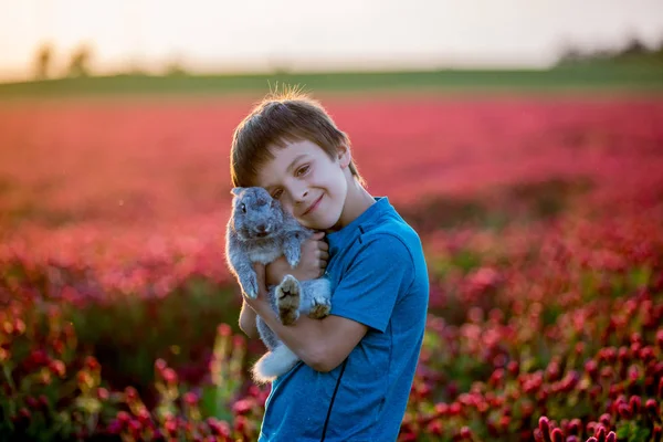 Beautiful Child His Bunny Best Friend Gorgeous Crimson Clover Field — стоковое фото