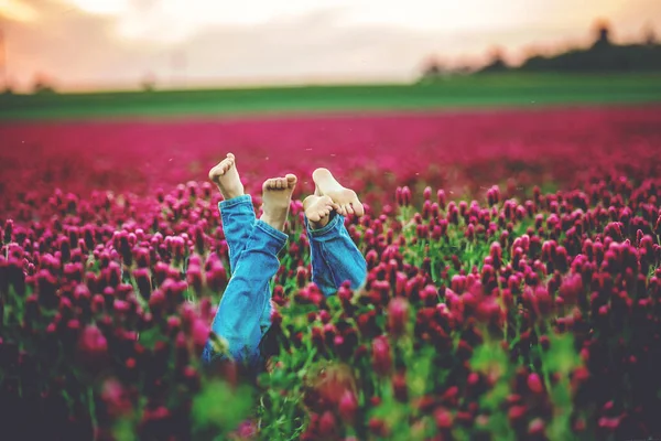 Bellissimi Bambini Splendido Campo Trifoglio Cremisi Tramonto Primavera Bambini Piedi — Foto Stock