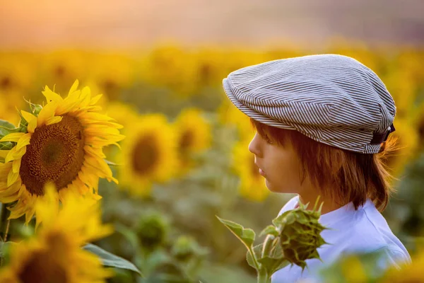 与夏向日葵田上日落向日葵的可爱孩子 孩子们的幸福概念 — 图库照片