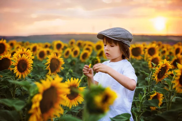 Lindo Niño Con Girasol Campo Girasol Verano Puesta Del Sol —  Fotos de Stock