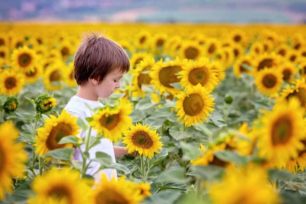 Mignon Enfant Avec Tournesol Été Champ Tournesol Coucher Soleil Concept — Photo