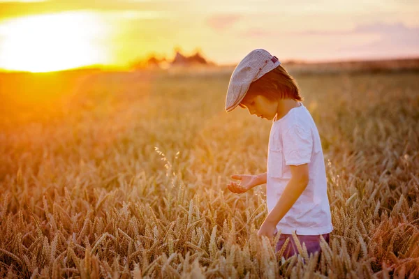 Criança Alegre Menino Perseguindo Bolhas Sabão Campo Trigo Pôr Sol — Fotografia de Stock