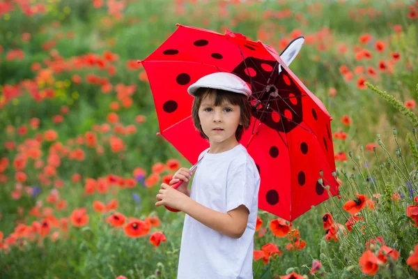 Criança Pré Escolar Campo Papoula Com Guarda Chuva Joaninha Vermelha — Fotografia de Stock