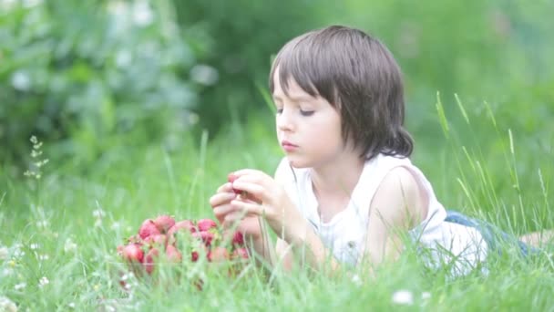 Χαριτωμένο Προσχολικής Ηλικίας Παιδί Αγόρι Τρώει Φράουλες Ένα Κήπο Καλοκαίρι — Αρχείο Βίντεο