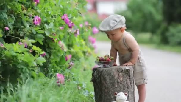 Солодка Дитина Маленький Хлопчик Насолоджується Мискою Смачної Свіжоспеченої Полуниці Літній — стокове відео