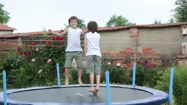 可爱的孩子 兄弟们 在花园里跳蹦床 — 图库视频影像