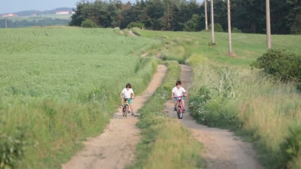Sportif Çocuk Erkek Kardeşler Bisiklet Üzerinde Bir Kırsal Manzara Birlikte — Stok video