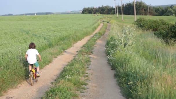运动的孩子 男孩兄弟 骑自行车在乡村风景一起在日落 — 图库视频影像