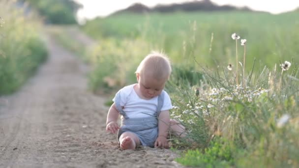 Tatlı Yürümeye Başlayan Çocuk Çocuk Doğa Günbatımı Üzerinde Keşfetmek Kırsal — Stok video