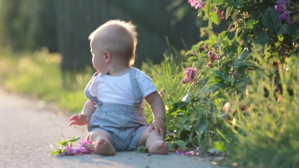 Söt Liten Knatte Pojke Sittande Gatan Solnedgången Leka Med Vackra — Stockvideo