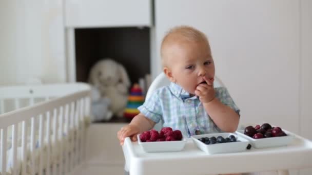 Αξιολάτρευτο Μικρό Αγοράκι Τρώγοντας Φρέσκα Φρούτα Στο Σπίτι Κάθεται Καρεκλάκι — Αρχείο Βίντεο