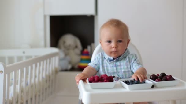 Adorable Niño Pequeño Comiendo Frutas Frescas Casa Sentado Silla Bebé — Vídeos de Stock