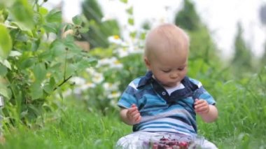 Tatlı küçük çocuk, Bebek Çocuk, kiraz bahçesinde yemek, lezzetli meyve zevk, kirli elde