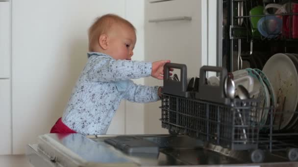 Toddler Child Boy Helping Mom Putting Dirty Dishes Dishwasher Home — Stock Video