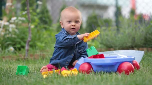 Little Baby Boy Playing Big Construction Blocks Garden Building Different — Stock Video